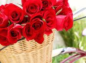 Venda de flores é oportunidade para renda extra. 