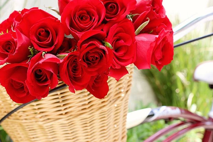 Venda de flores é oportunidade para renda extra.