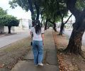 Avenida Amélia Rosa
