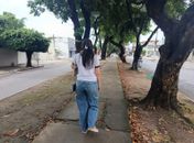 Avenida Amélia Rosa