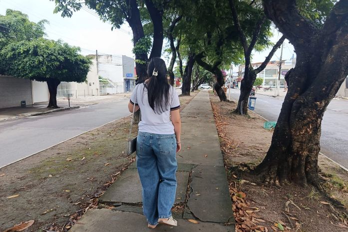 Avenida Amélia Rosa