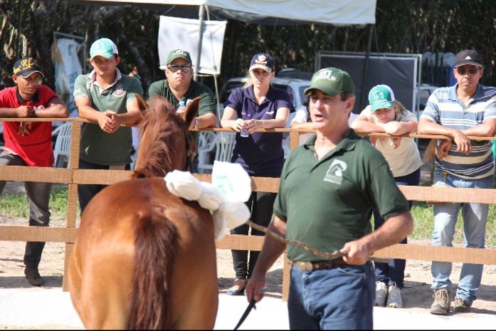 Curso de Doma com Miguel Lupiano