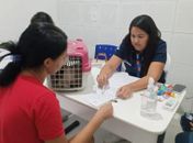 Equipe do Castramóvel atende 98 animais de moradores do Gama Lins
