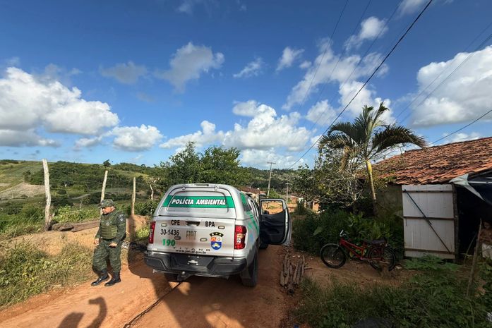 Duas pessoas são presas por posse ilegal de armas durante operação em municípios alagoanos