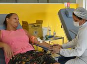 Hemoal realiza coletas itinerantes de sangue em Arapiraca e União dos Palmares nesta quinta-feira