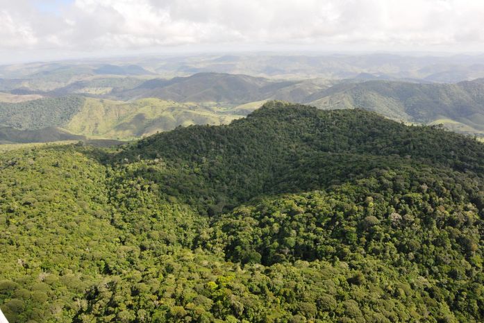 Alagoas se destaca na COP30 com avanços ambientais e menor índice de desmatamento do Nordeste