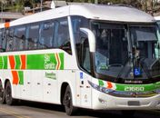 Criminosos fazem arrastão em dois ônibus na BR-101