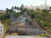 Incêndio em vegetação assusta moradores no Jacintinho