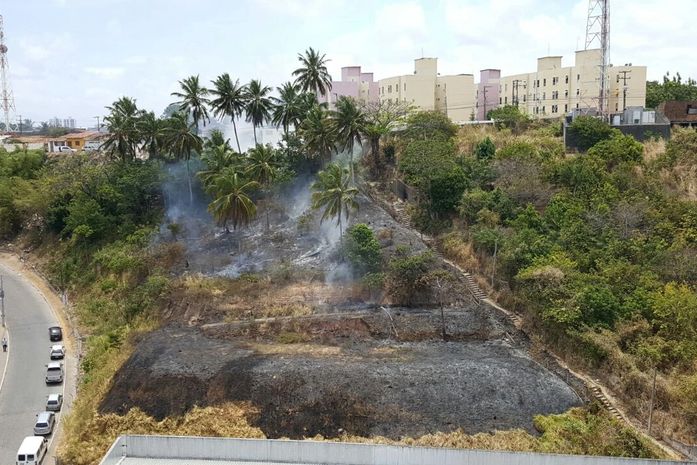 Incêndio em vegetação assusta moradores no Jacintinho