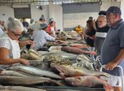 Semana Santa impulsiona economia e reforça tradição nos mercados de Maceió