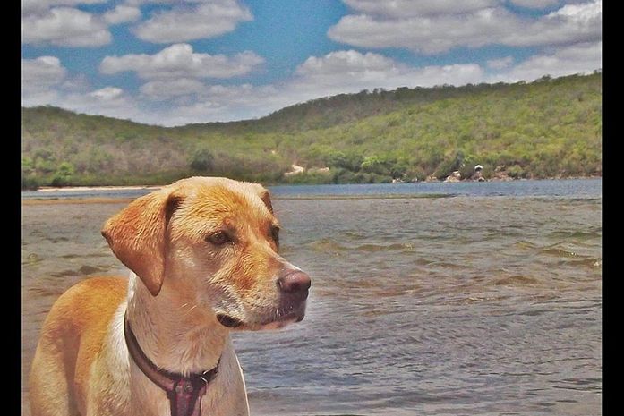 Brida e o São Francisco