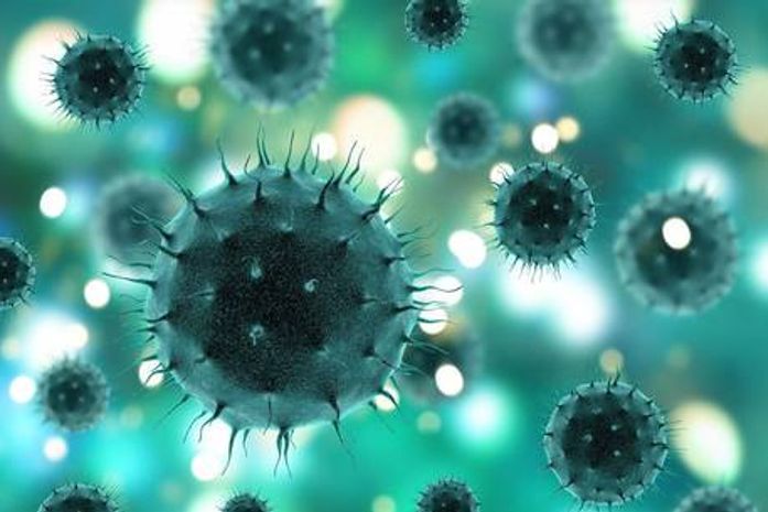 Quando a “denúncia grave” é fake news