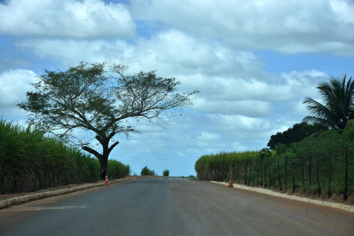 Programa Alagoas de Ponta a Ponta segue em Junqueiro com pavimentação asfáltica