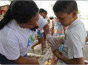 Arapiraca inicia campanha de vacinação antirrábica para cães e gatos