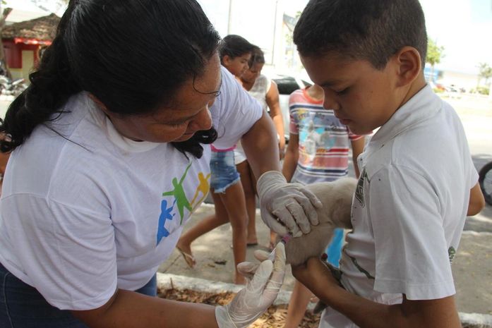 Arapiraca inicia campanha de vacinação antirrábica para cães e gatos