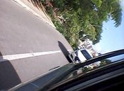 Árvore caída na Fernandes Lima