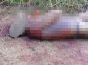 Homem é morto a facadas e pedradas em Capela