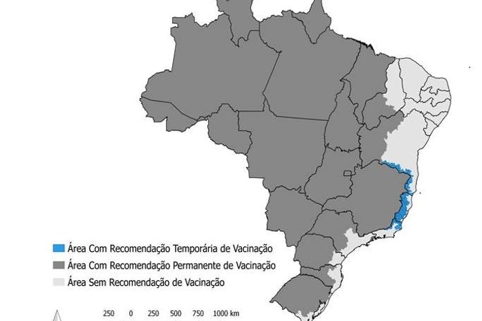 Febre amarela: confira as principais recomendações para a vacina