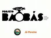 Sob a sombra da árvore sagrada, o  Instituto Raízes de Áfricas, Jó Pereira  e a Pizzaria Stella realizam a cerimônia de colheita do  'Mukua', para fazer brotar outros Baobás
