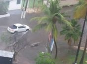 Chuvas: imediações da Praça do Skate ficam inundadas