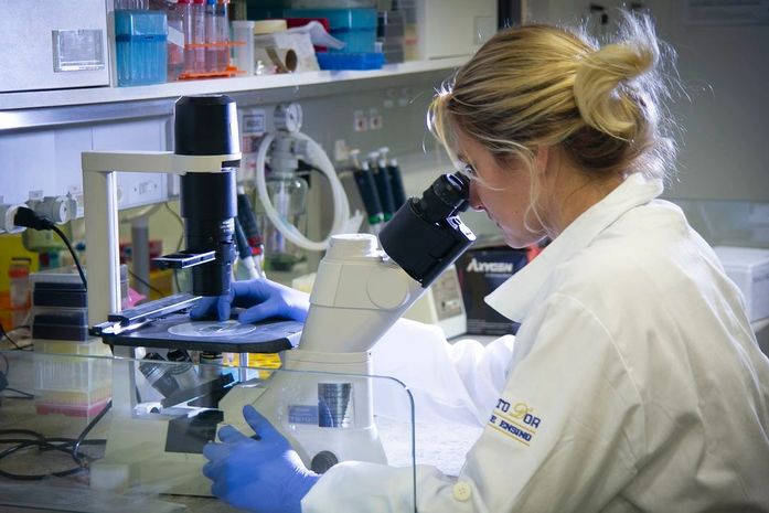 Pesquisa comprova que covid-19 é também doença vascular