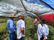 Secretaria de Agricultura vai implantar vitrine tecnológica no Sertão