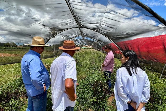 Secretaria de Agricultura vai implantar vitrine tecnológica no Sertão