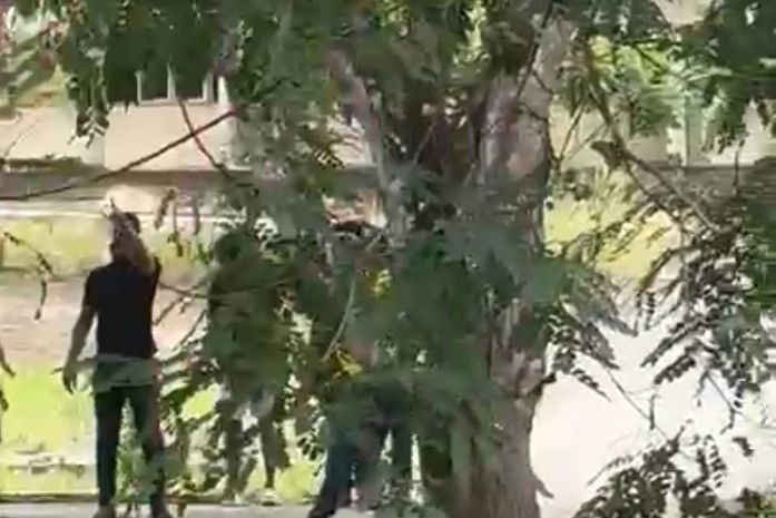 Suposto grupo de direita entra no ICHCA e discute com estudantes da Ufal; veja vídeo