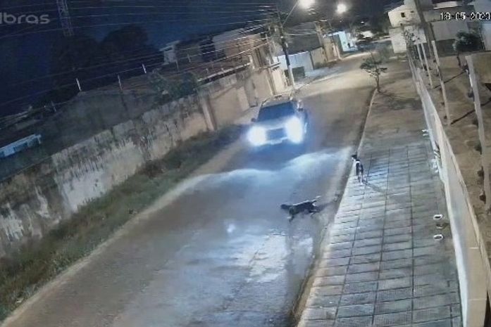 Motorista que atropelou cão de propósito no Jaraguá é localizado e ouvido pela PC