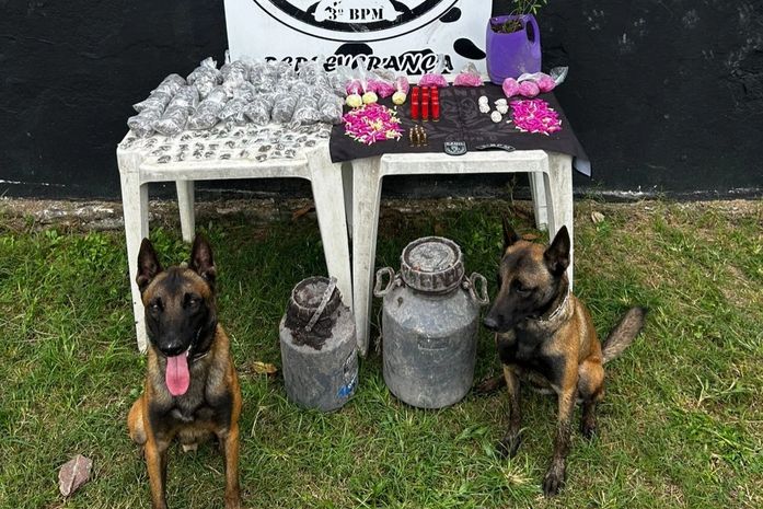 PM apreende arma de fogo após denúncia e drogas durante instrução com cães em Arapiraca