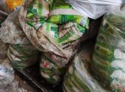 Roedores, escorpiões e baratas: fiscalização interdita distribuidora e apreende 5 toneladas de produtos 