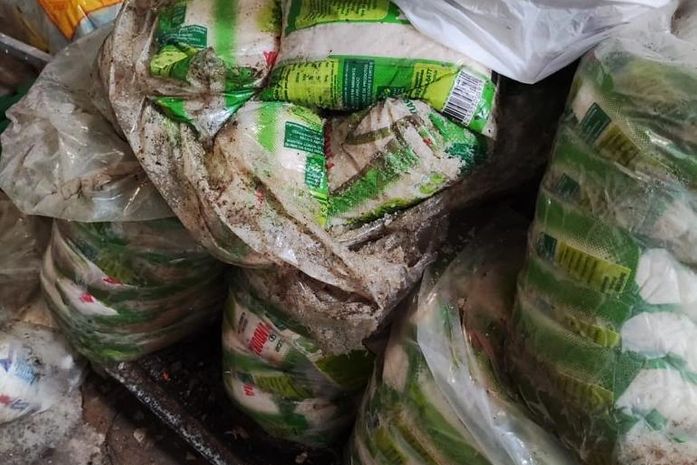 Roedores, escorpiões e baratas: fiscalização interdita distribuidora e apreende 5 toneladas de produtos 