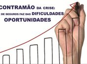 Setor de seguros consegue lucrar com crise
