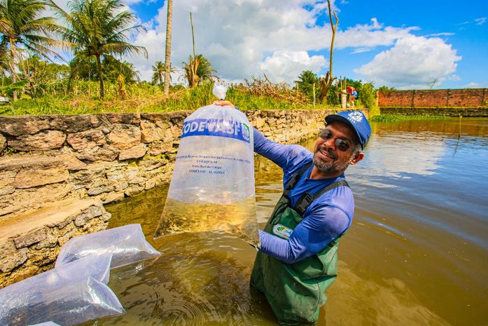 Prefeitura de Arapiraca inicia a entrega de mais de 180 mil alevinos para produtores rurais