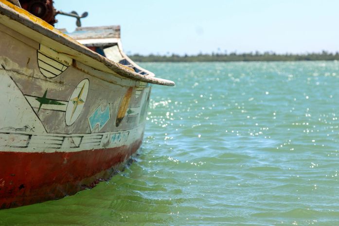 Presidente do Comitê da Bacia do São Francisco   alerta que flexibilização da vazão pode trazer impactos ambientais