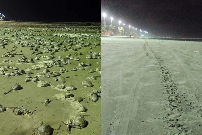 Bolas 'misteriosas' desaparecem em 24 horas após intrigarem moradores no litoral de SP