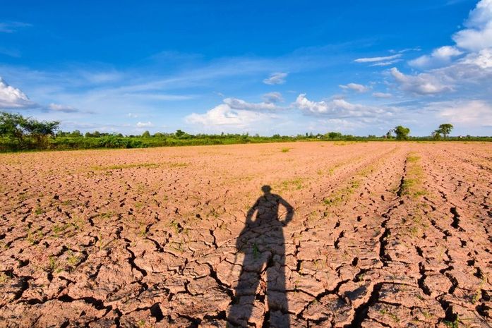 Emater alerta para o encerramento das inscrições do Garantia-Safra em Alagoas