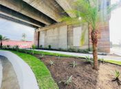 Alurb conclui obra de paisagismo no viaduto de Jacarecica