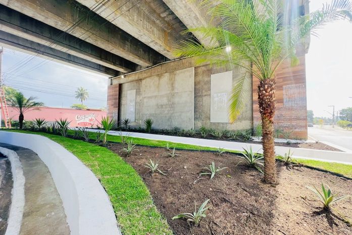 Alurb conclui obra de paisagismo no viaduto de Jacarecica