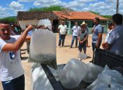 Prefeitura de Piranhas distribui mais de 50 mil alevinos para produtores da agricultura familiar

