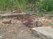 Local onde o adolescente foi encontrado morto 