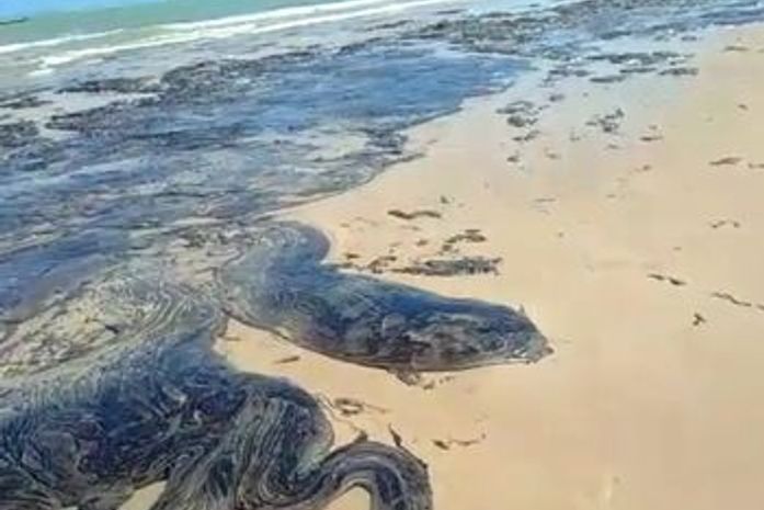 Manchas de óleo na Lagoa do Pau, em Alagoas.