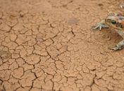 Seca se intensifica, avança no sertão e AMA alerta municípios