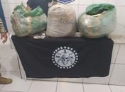 Após denúncia, Bope flagra jovem transportando 31kg de maconha na Praia do Francês