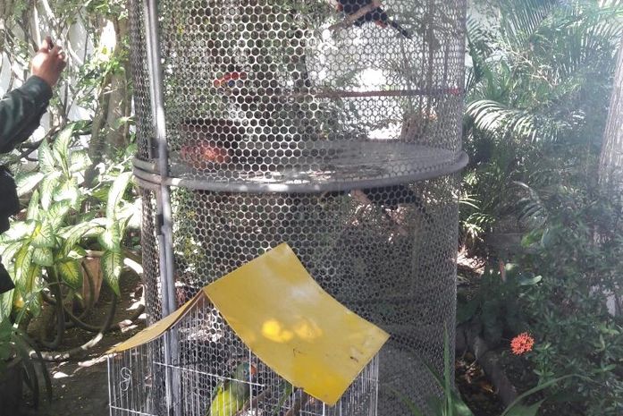 Bispo de Penedo é multado por manter em cativeiro 11 animais silvestres