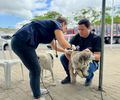 Viçosa recebe ação itinerante de Saúde & Bem-estar Animal