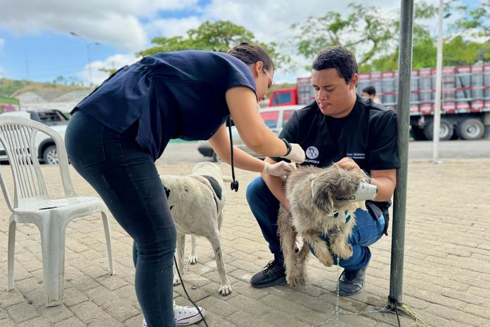 Viçosa recebe ação itinerante de Saúde & Bem-estar Animal