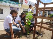 SEAMA de São Miguel dos Campos realiza plantio de mudas