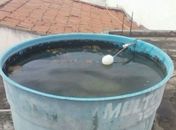 Foco de mosquito da dengue é flagrado na Câmara de Vereadores de Pariconha