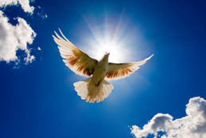 A vizinha da esquina morreu. A temporã da família apressou o passo e voou...